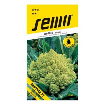 Květák letní Amfora F1