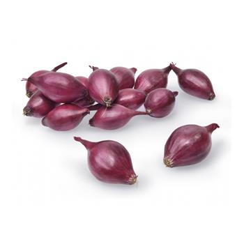 Sazečka ozimá Akado červená 500g