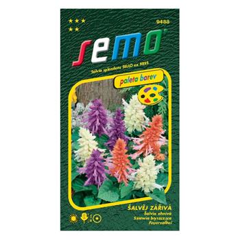 Šalvěj zářivá směs PALETA