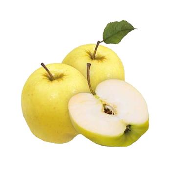 Jabloň Golden Delicious květináč 7,5 litru, zimní, CIZOSPRAŠNÁ