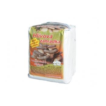Hlíva ústřičná zahrádka 6kg