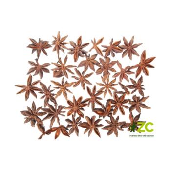 Přízdoba badyán hnědý 40g