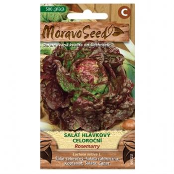 Salát hlávkový ROSEMARRY červený celoroční (MS)
