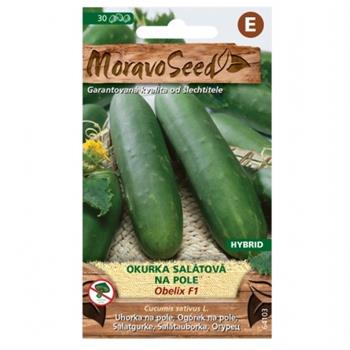 Okurka salátová OBELIX F1 polní (MS)