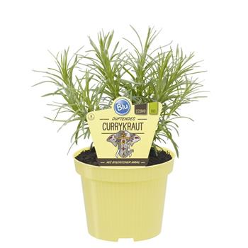 Kari BIO květináč 12cm