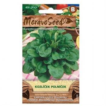 Kozlíček polníček (MS)