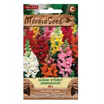 Hledík antirrhinum vysoký jednoduchý (MS)
