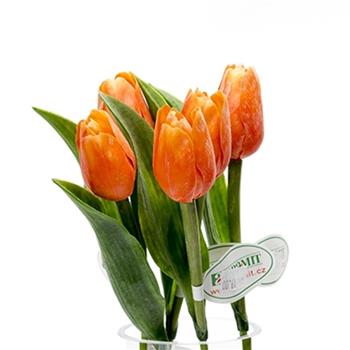 Tulipán řezaný umělý oranžový 40cm