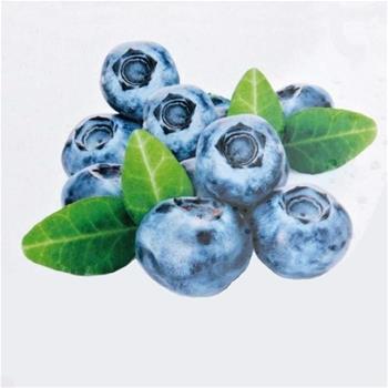 Kanadská borůvka Bluegold květináč 2 litry, výška 40/60cm, keř, částečně samosprašná