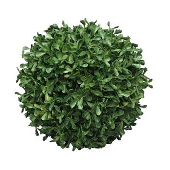 Zimostráz PRINCEVILLE umělá koule zelená 28cm