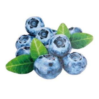 Kanadská borůvka Bluegold výška 40/60cm, květináč 7,5 litru, částečně samosprašná