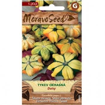 Tykev okrasná DAISY (MS)