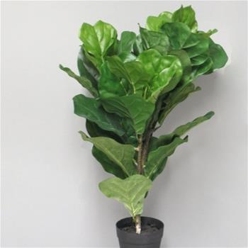 Ficus lyrata hrnkový umělý 60cm