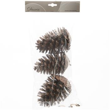 Šiška borovice 3ks