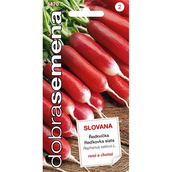 Ředkvička SLOVANA (DS)