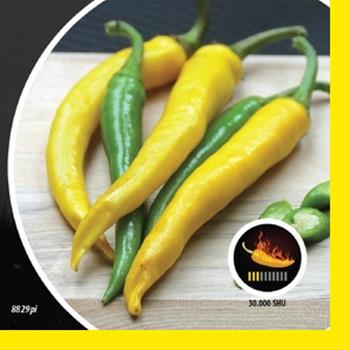 Paprika chilli Giallo PIQUANT