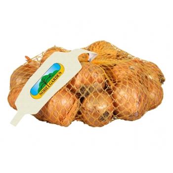 Sazečka Red Sun 500g
