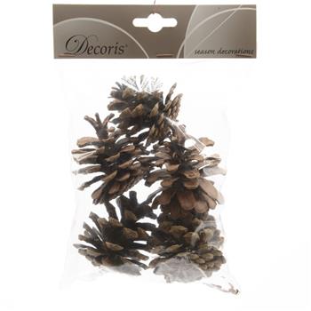 Šiška z borovice 5ks