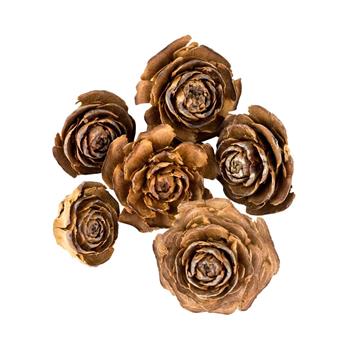 Sušina Cedar rose hnědá 3-5cm/6ks