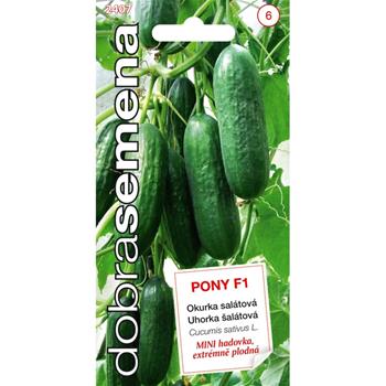 Okurka skleníková PONY F1 (DS)