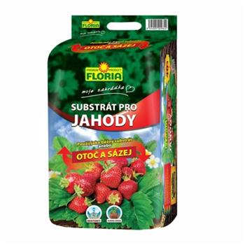 FLORIA Substrát pro jahody 40l