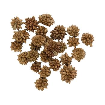Sušina Star Flower hnědá 12g