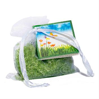 Sáček vonný Vent Vert organza