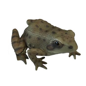 Žába skokan hnědý polyresinový 15cm