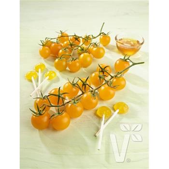 Rajče Solena Yellow roubované 12cm
