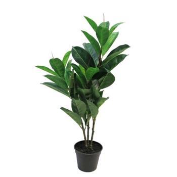 Ficus elastica hrnkový umělý 70cm