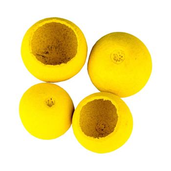 Sušina Bell cup žlutá 4-5cm/4ks