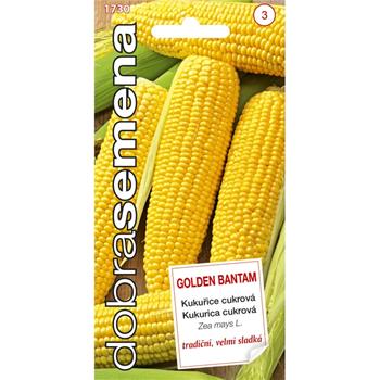 Kukuřice cukrová GOLDEN BANTAM (DS)