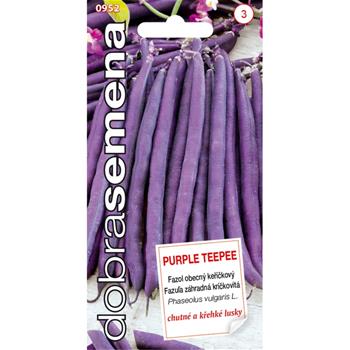 Fazol keříčkový PURPLE TEEPEE (DS)