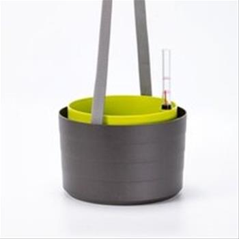 Žardina BERBERIS samozav. + závěs antracit-zelená 30cm