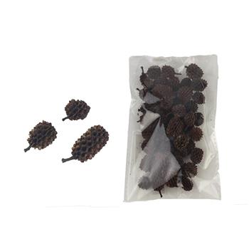 Přízdoba šišky casuarina hnědé 25g