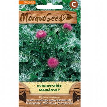Ostropestřec mariánský (MS)