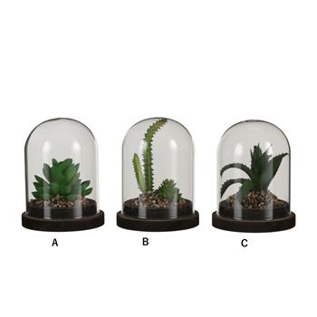 Sukulent umělý pod poklopem sklo mix 10,5cm