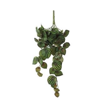 Peperomia závěs umělá žluto-zelená 58cm