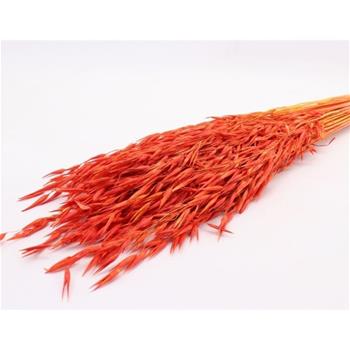 Sušina Oves barvený hnědá 100-120g