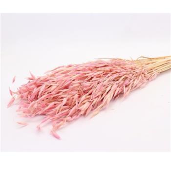 Sušina Oves barvený růžová 100-120g