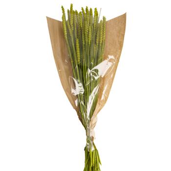 Sušina pšenice barvená žlutá 70cm