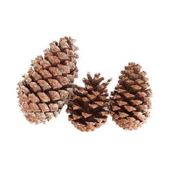 Šiška přírodní 3ks