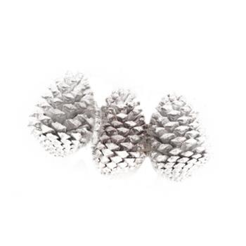 Šiška borovice bílá 3ks