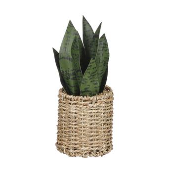 Sansevieria hrnková umělá v koši zelená 27cm