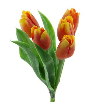 Tulipán řezaný umělý žluto-červený 40cm