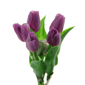 Tulipán řezaný umělý růžovo-fialový 40cm