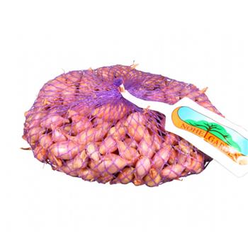 Sazečka Rosanna 500g