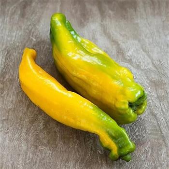 Paprika Manati Yellow neroubovaná 12cm