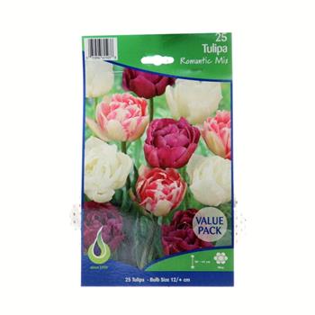 Tulipán 'Romantic' mix 25ks