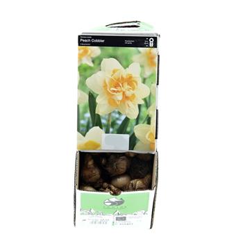 Narcis Peach Cobbler 5ks